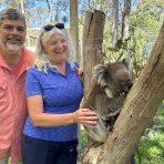  Powell Koala, Cleland Wildlife Park, SA.4